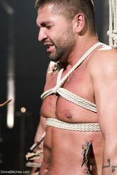 Госпожа, пощады!