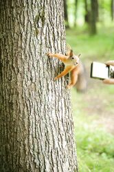 Интересно, она на спор разделась, или сама так захотела?