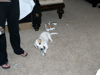 Голая невеста