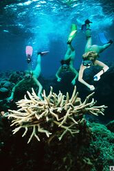 Королева всех моделей