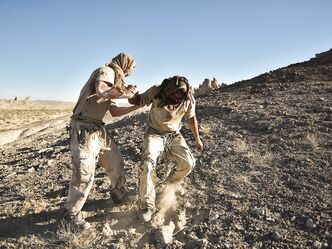 Приключения королевы пустыни