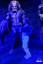 Тут пезды правят балом